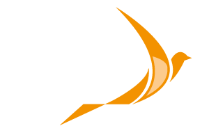 Harmonie Print